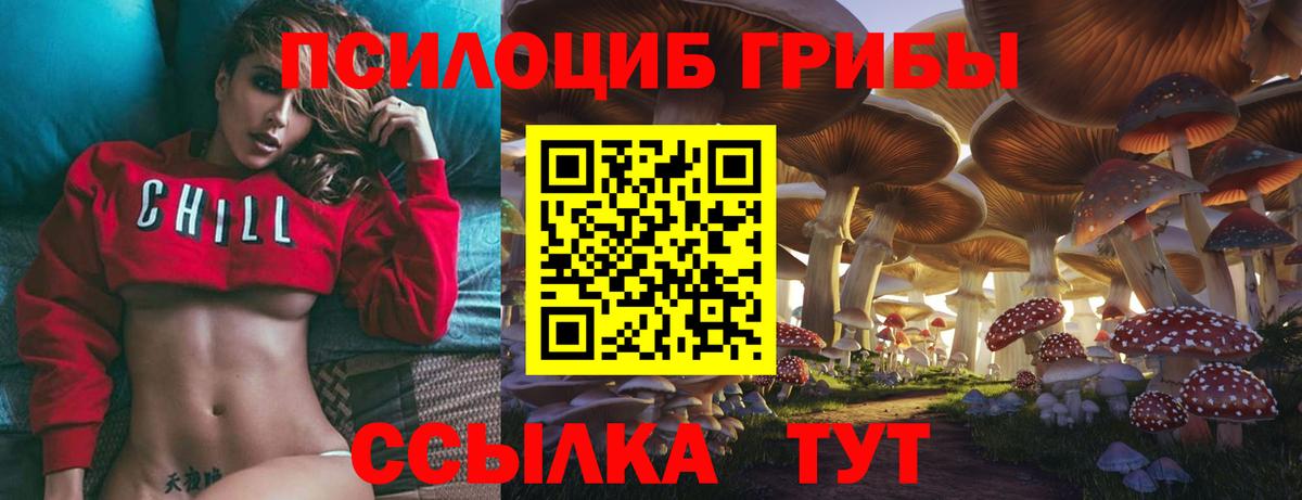 Южно-Сахалинск  Галлюциногенные грибы MAGIC MUSHROOMS  Вход с VPN  Псилоцибиновые грибы Cubensis 